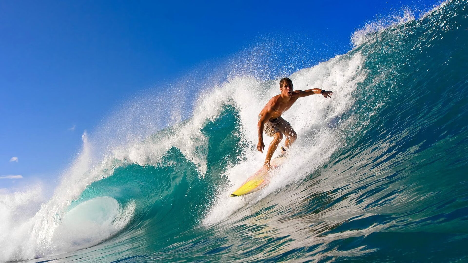 跨界传奇，几内亚争冠战与加克波的NBA总决赛奇迹
